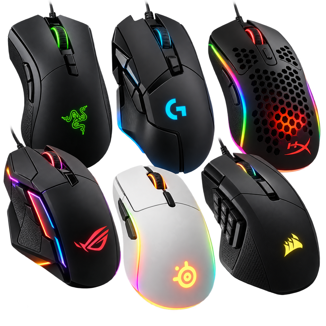 Mouse
